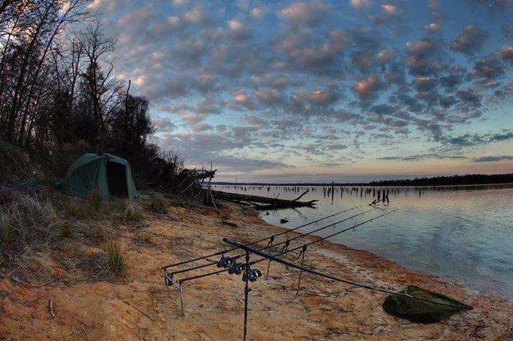 Fishing 4 - 995194458729187558565970803800n.jpg